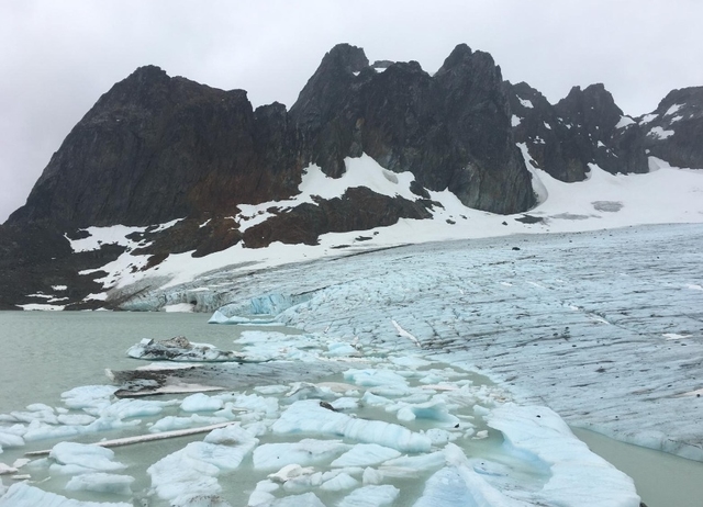 Glaciar Ojo del Albino - Trekking - image 1
